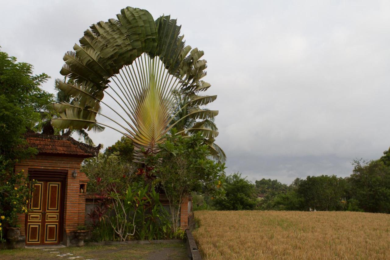 Rumah Sungai Villa Убуд Экстерьер фото