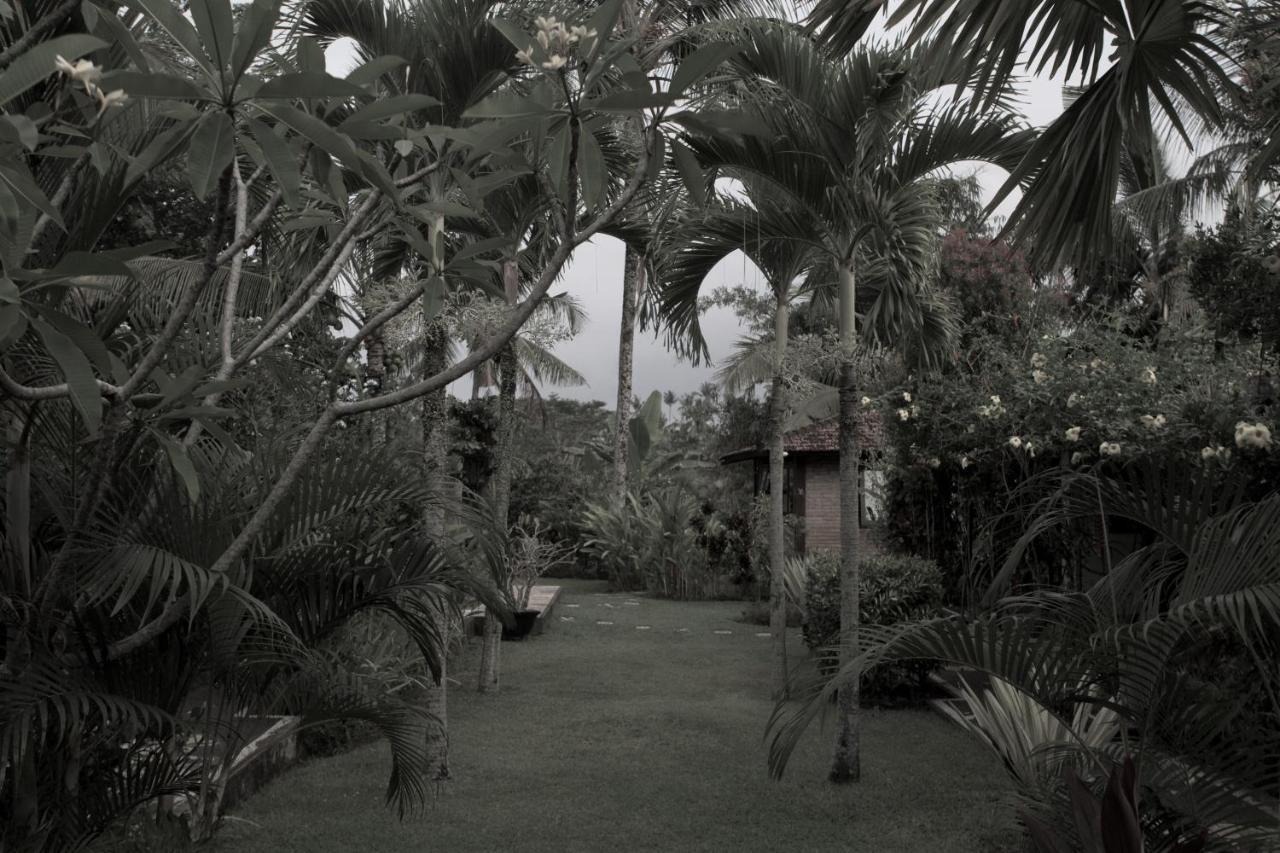 Rumah Sungai Villa Убуд Экстерьер фото