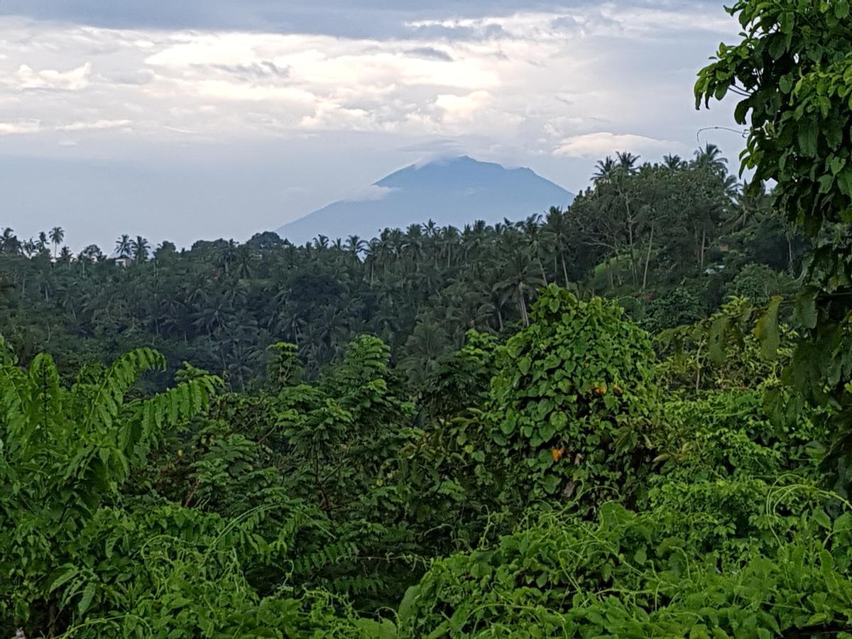 Rumah Sungai Villa Убуд Экстерьер фото