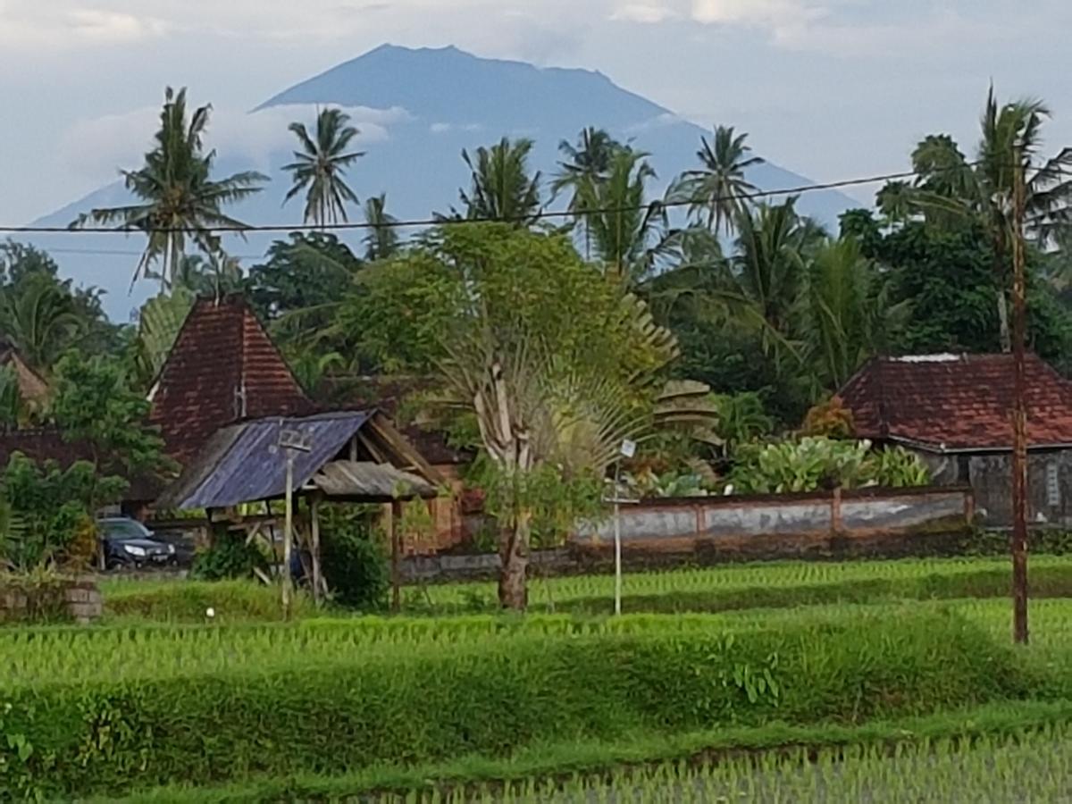 Rumah Sungai Villa Убуд Экстерьер фото